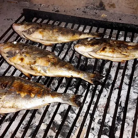 Culjak Daire Trogir